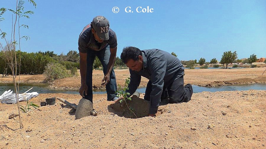 Earth Week El Gouna 0204